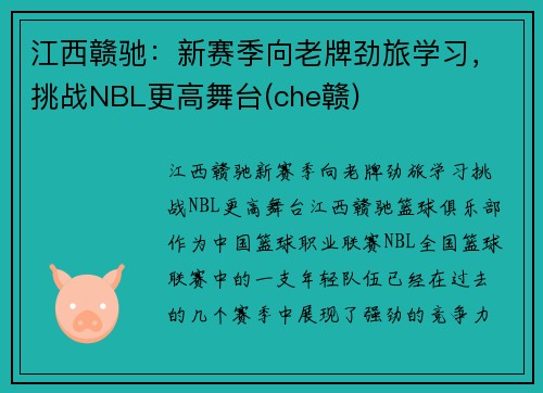 江西赣驰：新赛季向老牌劲旅学习，挑战NBL更高舞台(che赣)